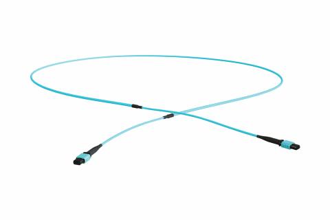 AFL Premium MPO F - MPO F OM4 RBS Erika Violet LSZH 12F MC SJ 3mm (A Polarity) MPO12 - MPO12 Trunk 100M